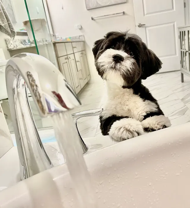 Kriser's Natural Pet Picture 3
