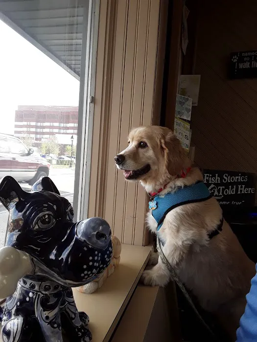 Bay Shore Animal Hospital Picture 9