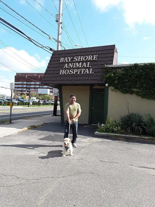 Bay Shore Animal Hospital Picture 10