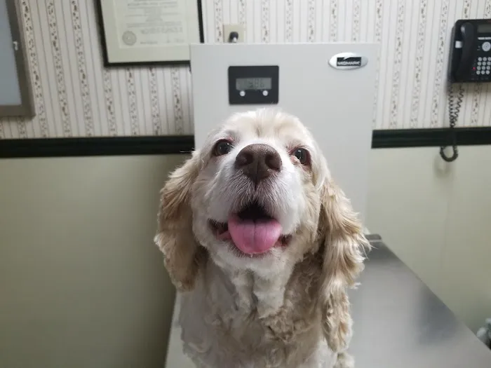 Bay Shore Animal Hospital Picture 3
