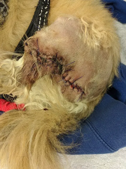 Bay Shore Animal Hospital Picture 2