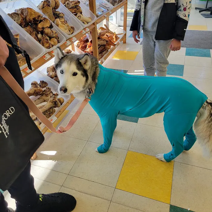 Pet Supplies Plus North Naperville Picture 3