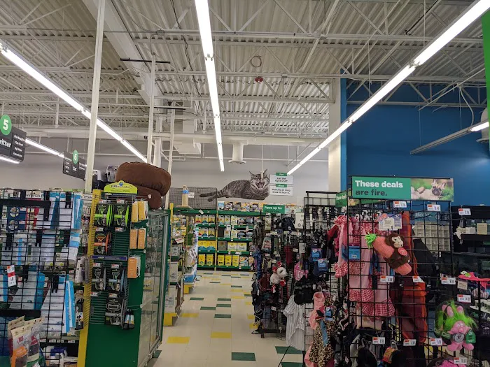 Pet Supplies Plus North Naperville Picture 9