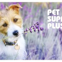 Pet Supplies Plus North Naperville ico