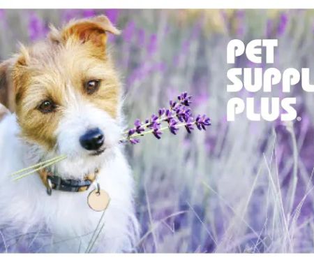 Pet Supplies Plus North Naperville