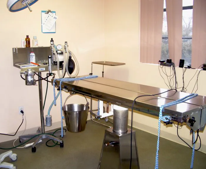 East Islip Animal Hospital Picture 5