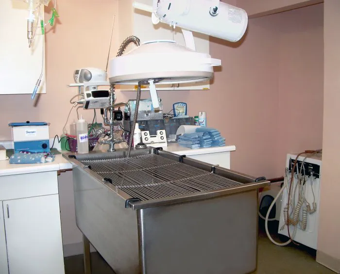 East Islip Animal Hospital Picture 4
