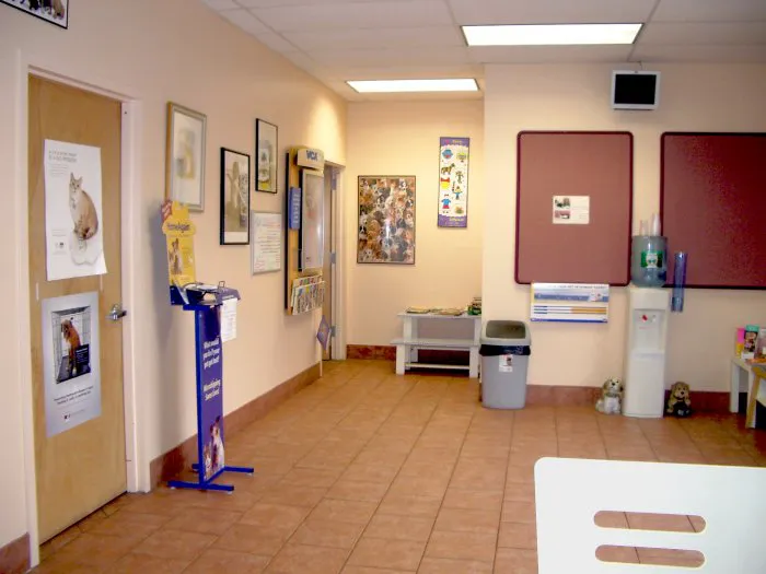East Islip Animal Hospital Picture 3