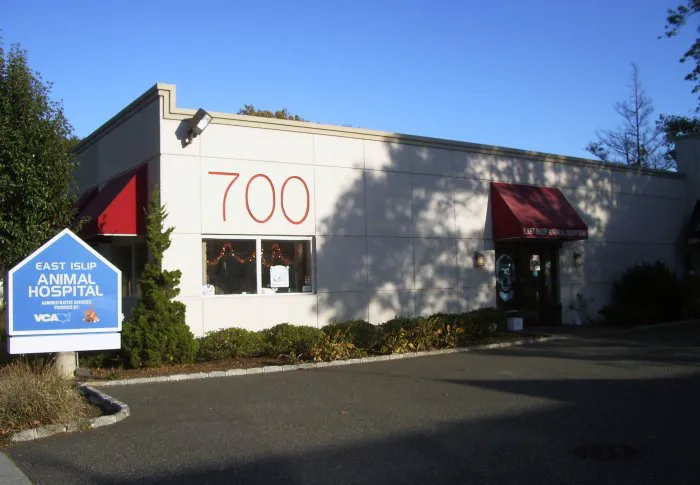 East Islip Animal Hospital Picture 8