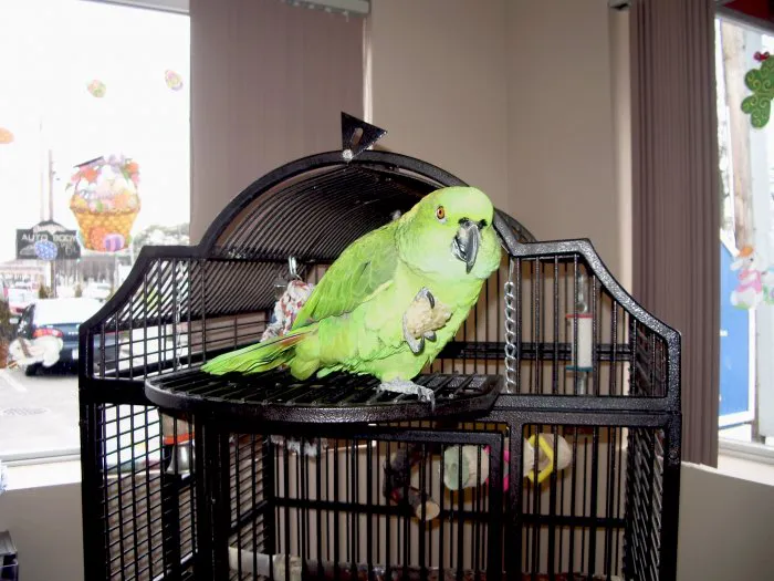 East Islip Animal Hospital Picture 7