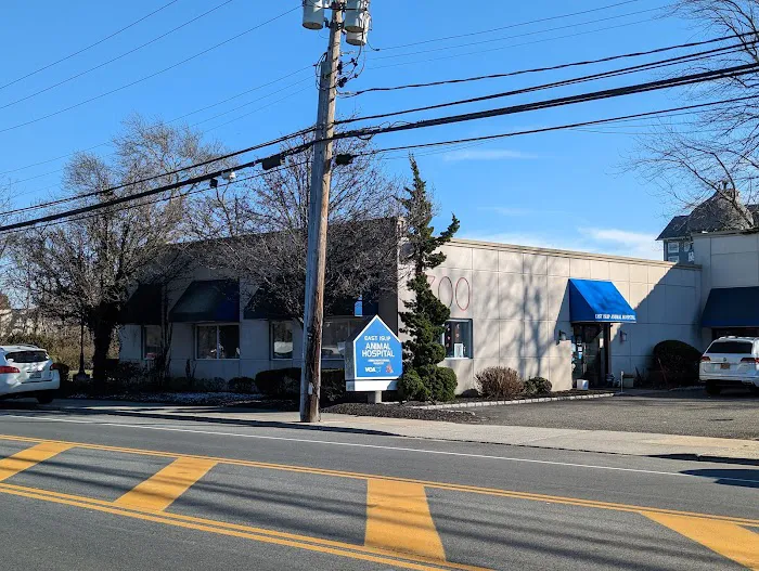 East Islip Animal Hospital Picture 9