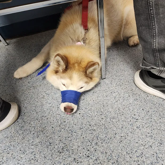 Islip Animal Hospital Picture 5