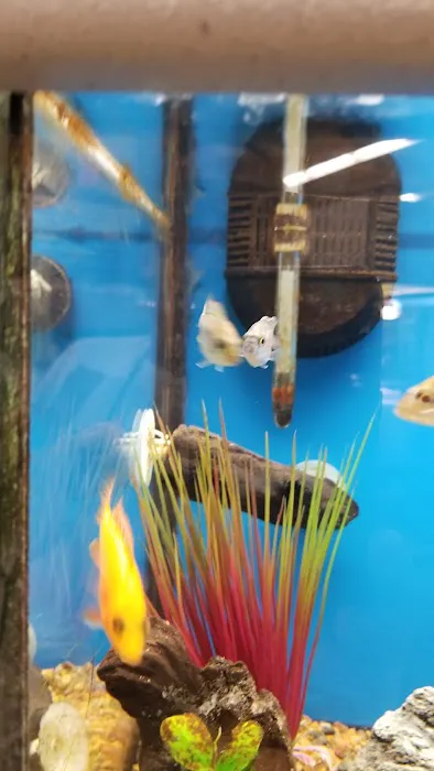 Petco Picture 2