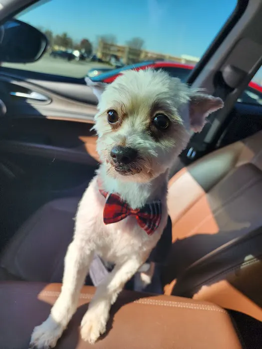 Petco Picture 1