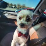 Petco