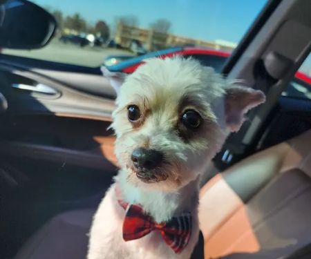 Petco