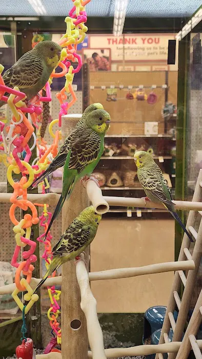 Petco Picture 6