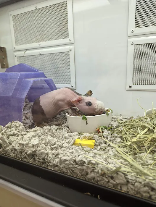 Petco Picture 8