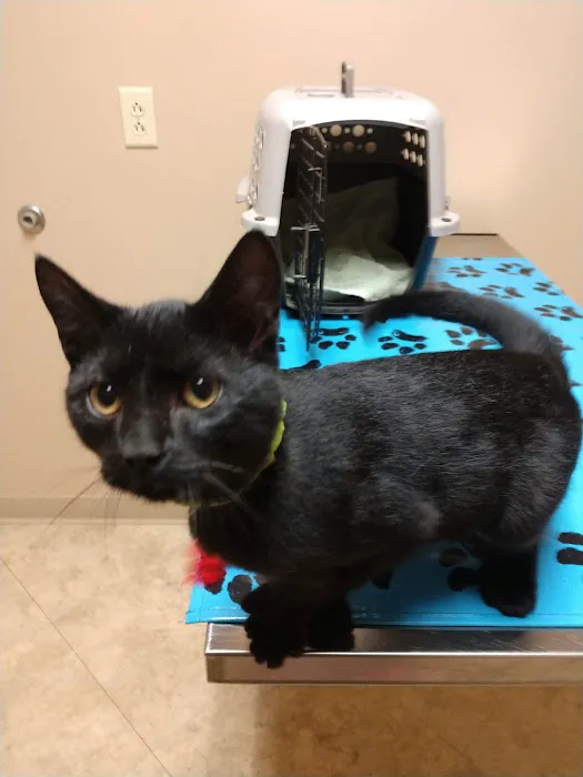 Nunda Veterinary Clinic Picture 6