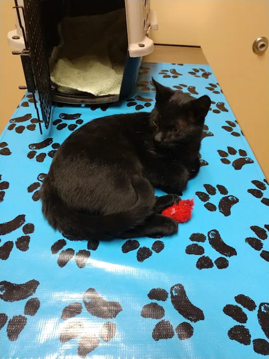 Nunda Veterinary Clinic Picture 4