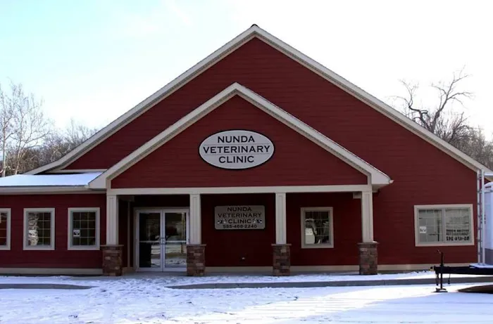 Nunda Veterinary Clinic Picture 10