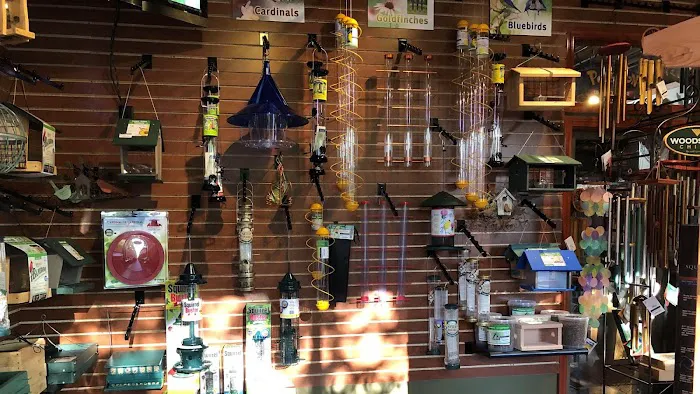 Thistle & Twig Diversions and Curiosities Shoppe Picture 10