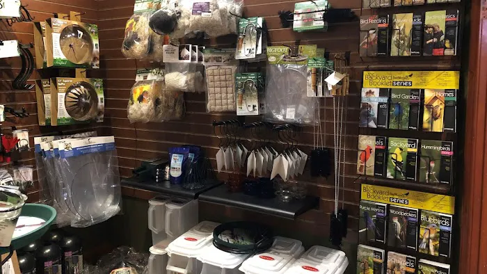 Thistle & Twig Diversions and Curiosities Shoppe Picture 6