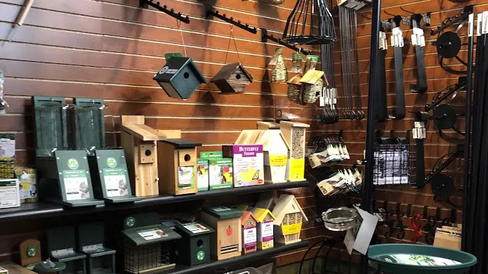 Thistle & Twig Diversions and Curiosities Shoppe Picture 8