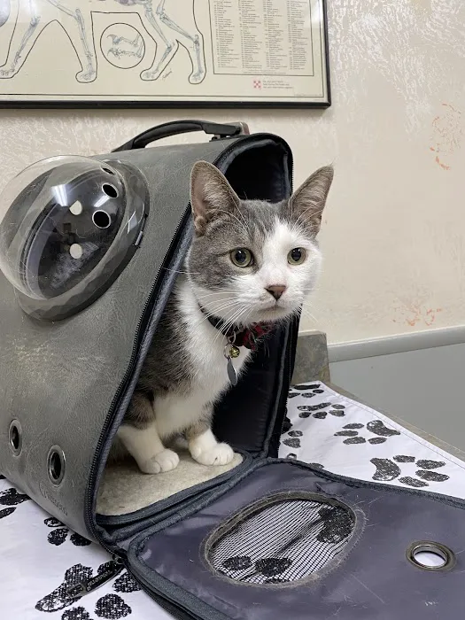 Genesee Valley Veterinary Hospital Picture 8