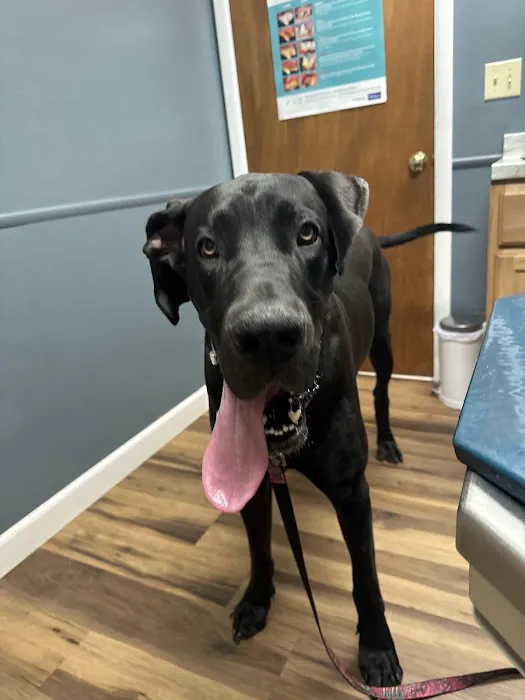 Genesee Valley Veterinary Hospital Picture 2