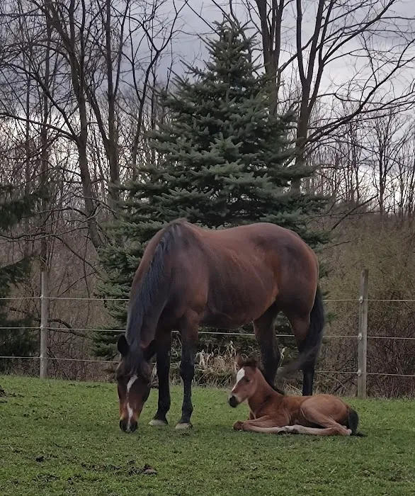 Genesee Valley Veterinary Hospital Picture 5