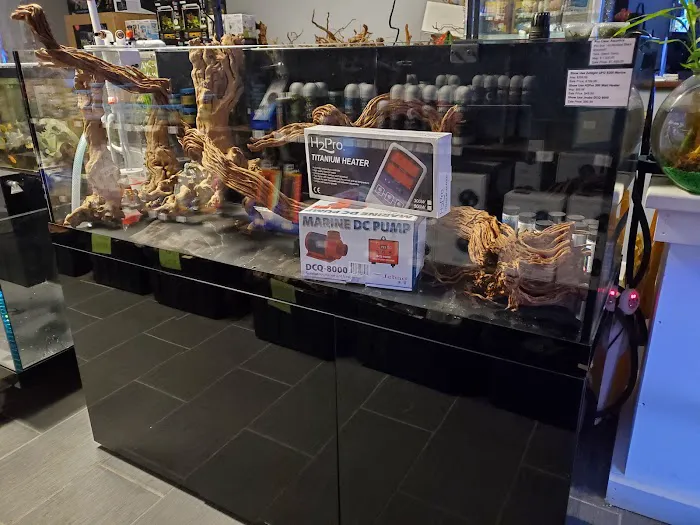Gingerbread Pet Supply Picture 7