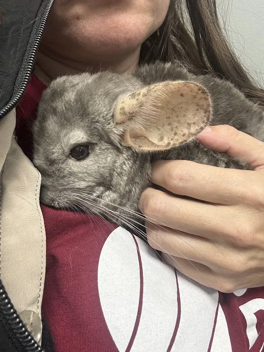Geneseo Veterinary Care Picture 10
