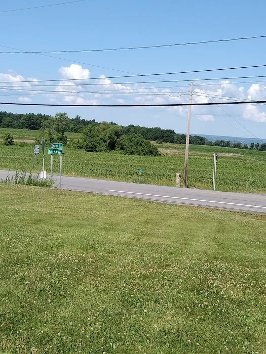 Geneseo Veterinary Care Picture 2