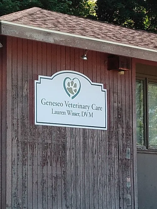 Geneseo Veterinary Care Picture 6