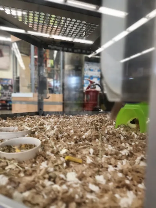 Petco Picture 4