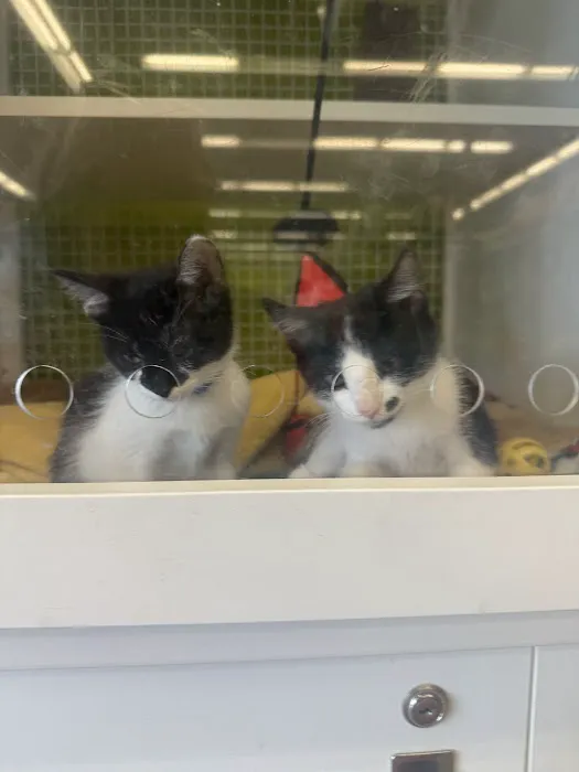 Petco Picture 10