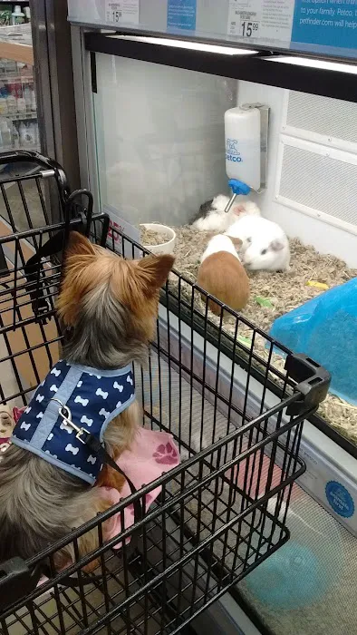 Petco Picture 9