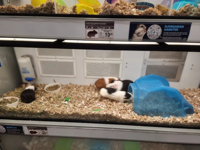 Petco Picture 8
