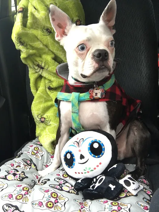 Petco Picture 6