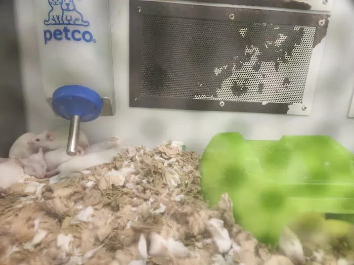 Petco Picture 5