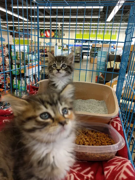Petco Picture 1
