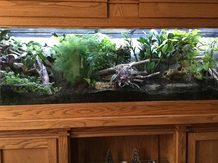 CEF Pets Picture 6