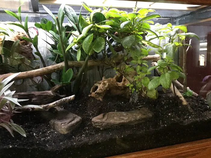 CEF Pets Picture 1