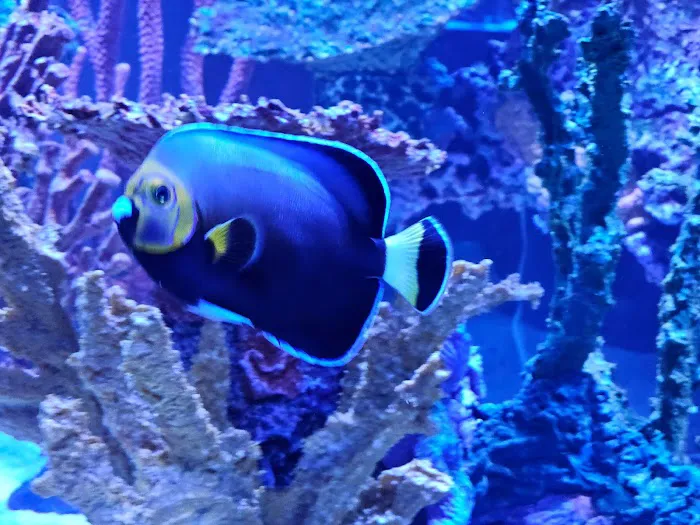 Sealife Services Picture 4