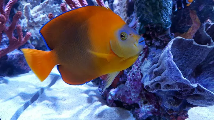 Sealife Services Picture 2