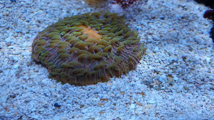 Sealife Services Picture 9