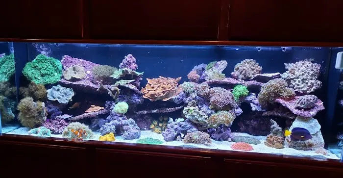 Sealife Services Picture 3