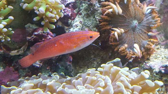 Sealife Services Picture 10