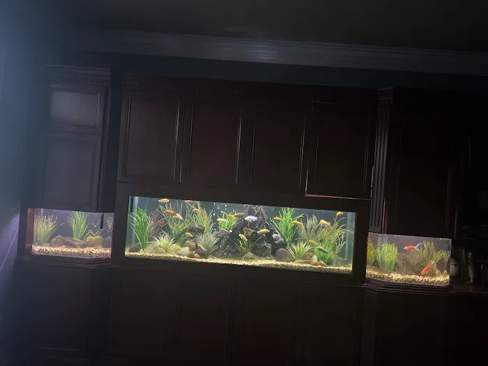 Sealife Services Picture 5